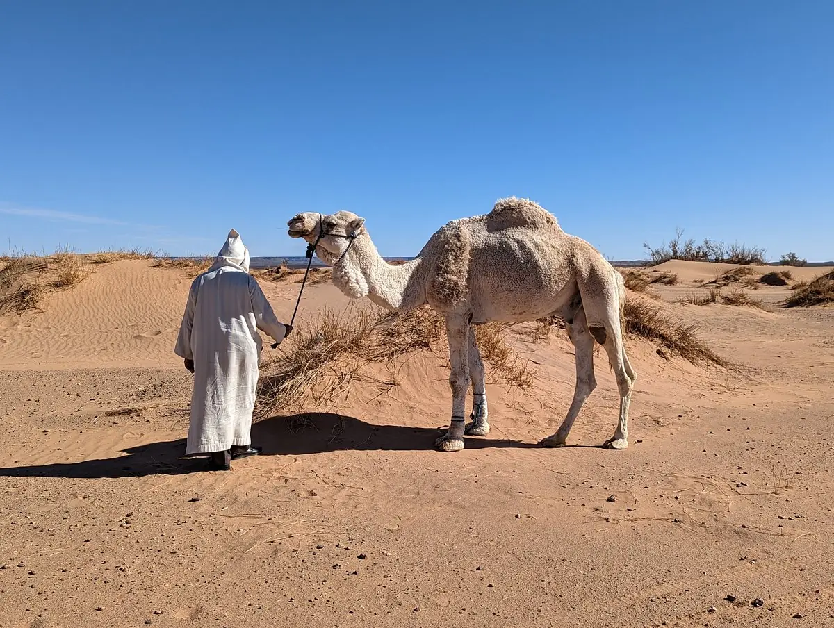11 Days Tour from Casablanca - private Morocco tour through Casablanca to Marrakech