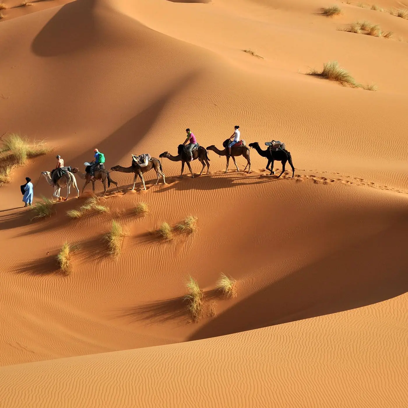 2 Days Fes to Merzouga - private Morocco tour through Fes