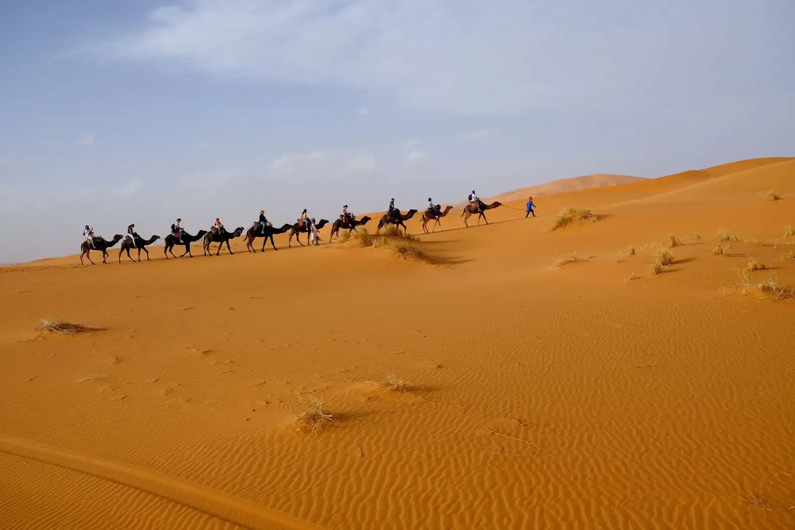 Camel caravan crossing the Erg Chebbi dunes near Merzouga